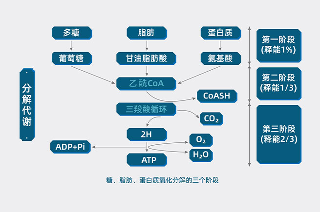 &#31859;&#20848;